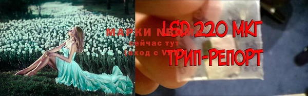 эйфоретик Киреевск